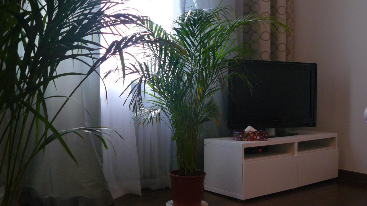 Апартаменти Apartament Chmielna Варшава Екстер'єр фото